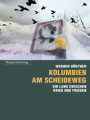 cover image of Kolumbien am Scheideweg